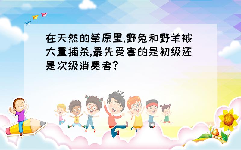 在天然的草原里,野兔和野羊被大量捕杀,最先受害的是初级还是次级消费者?