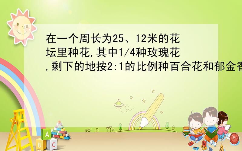 在一个周长为25、12米的花坛里种花,其中1/4种玫瑰花,剩下的地按2:1的比例种百合花和郁金香.百合花和郁金香分别种多