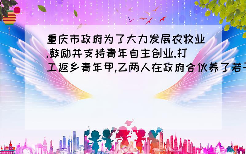 重庆市政府为了大力发展农牧业,鼓励并支持青年自主创业.打工返乡青年甲,乙两人在政府合伙养了若干头羊.