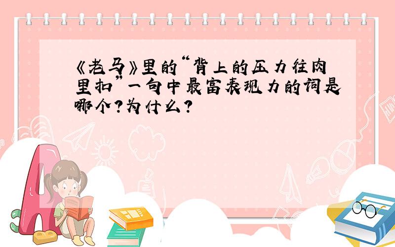 《老马》里的“背上的压力往肉里扣”一句中最富表现力的词是哪个?为什么?