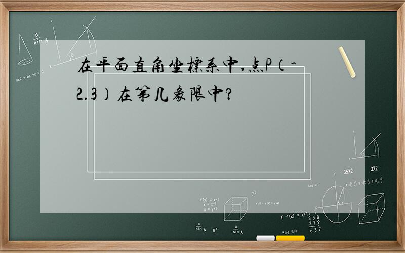 在平面直角坐标系中,点P（-2.3）在第几象限中?