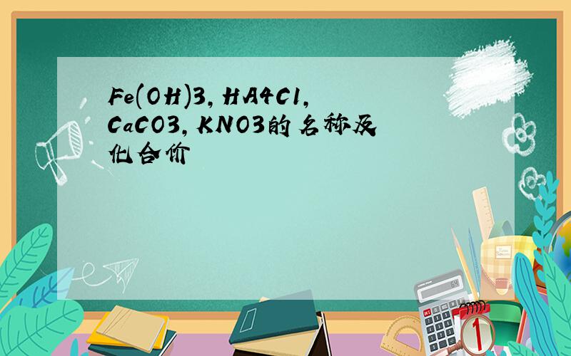 Fe(OH)3,HA4C1,CaCO3,KNO3的名称及化合价