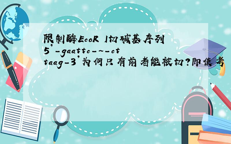 限制酶EcoR I切碱基序列5’-gaattc-~-cttaag-3'为何只有前者能被切?即使考