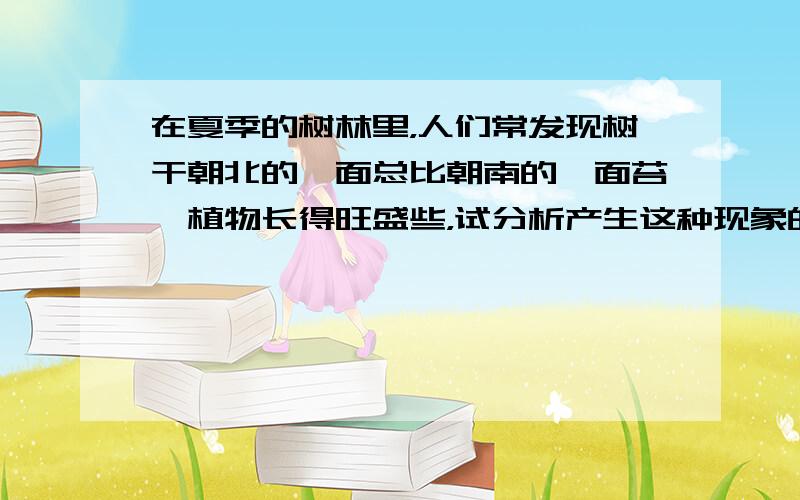 在夏季的树林里，人们常发现树干朝北的一面总比朝南的一面苔藓植物长得旺盛些，试分析产生这种现象的原因．