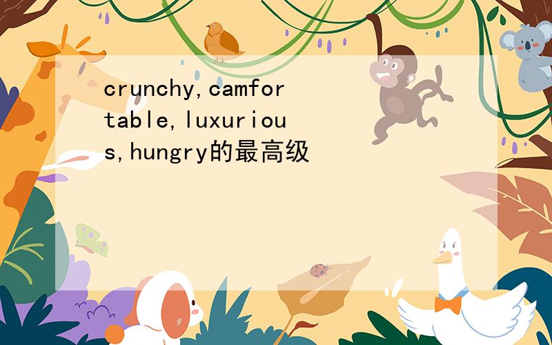 crunchy,camfortable,luxurious,hungry的最高级