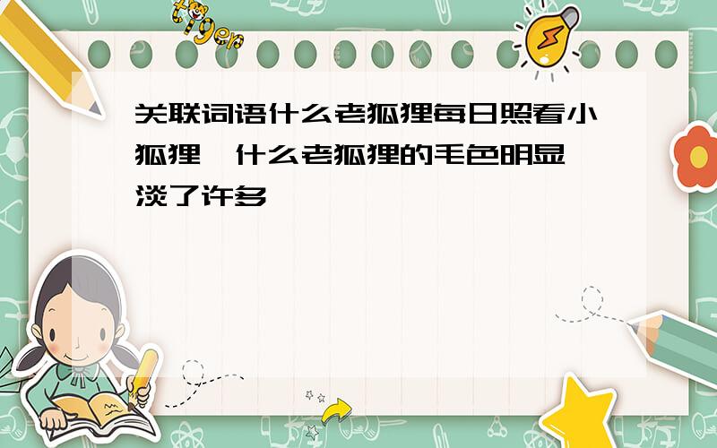 关联词语什么老狐狸每日照看小狐狸,什么老狐狸的毛色明显黯淡了许多