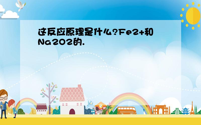 这反应原理是什么?Fe2+和Na2O2的.