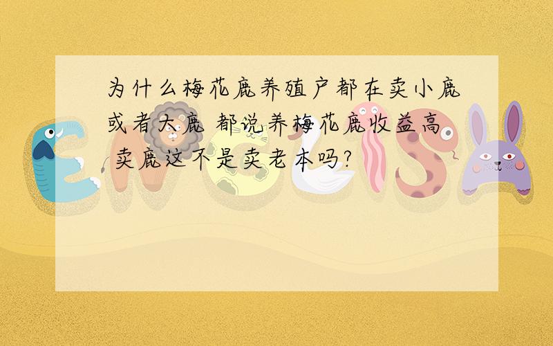 为什么梅花鹿养殖户都在卖小鹿或者大鹿 都说养梅花鹿收益高 卖鹿这不是卖老本吗?