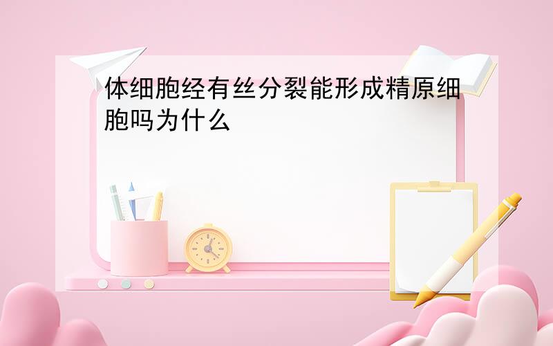 体细胞经有丝分裂能形成精原细胞吗为什么