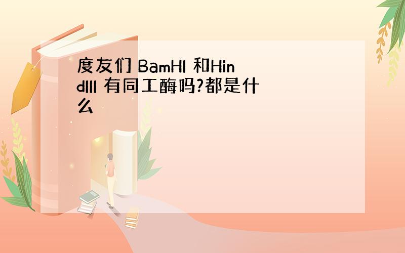 度友们 BamHI 和HindIII 有同工酶吗?都是什么