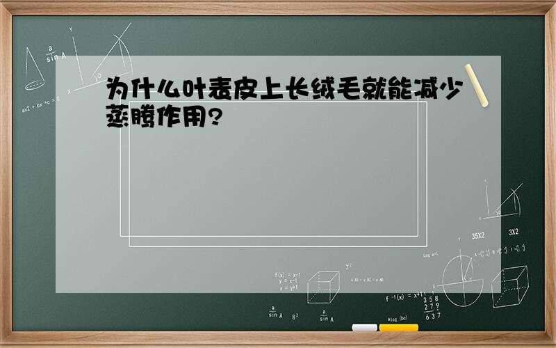 为什么叶表皮上长绒毛就能减少蒸腾作用?