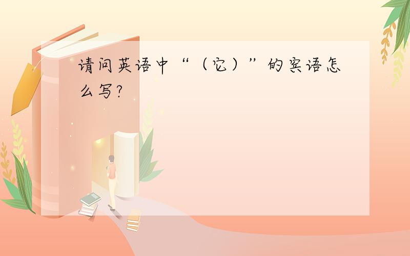 请问英语中“（它）”的宾语怎么写?