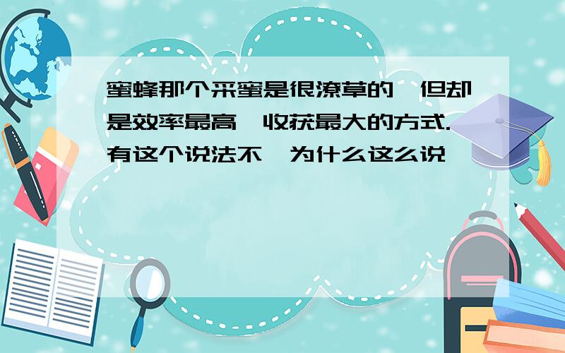 蜜蜂那个采蜜是很潦草的,但却是效率最高,收获最大的方式.有这个说法不,为什么这么说