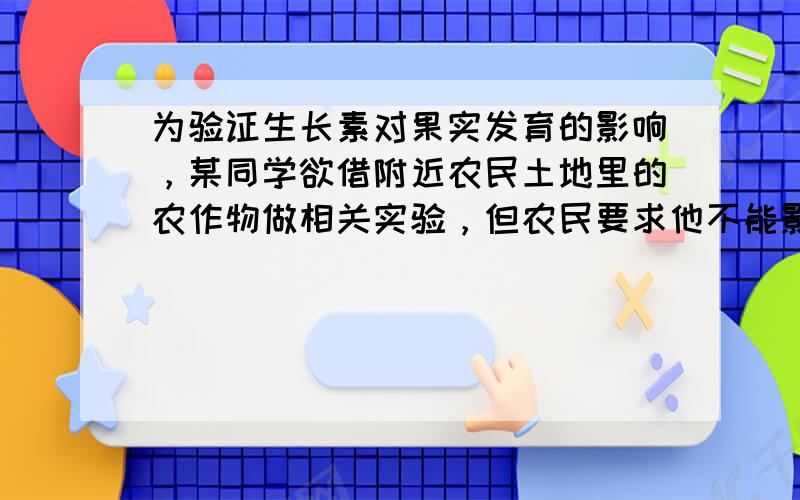 为验证生长素对果实发育的影响，某同学欲借附近农民土地里的农作物做相关实验，但农民要求他不能影响作物结实的产量.以下作物最