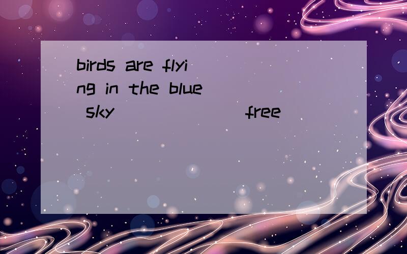 birds are flying in the blue sky______(free)