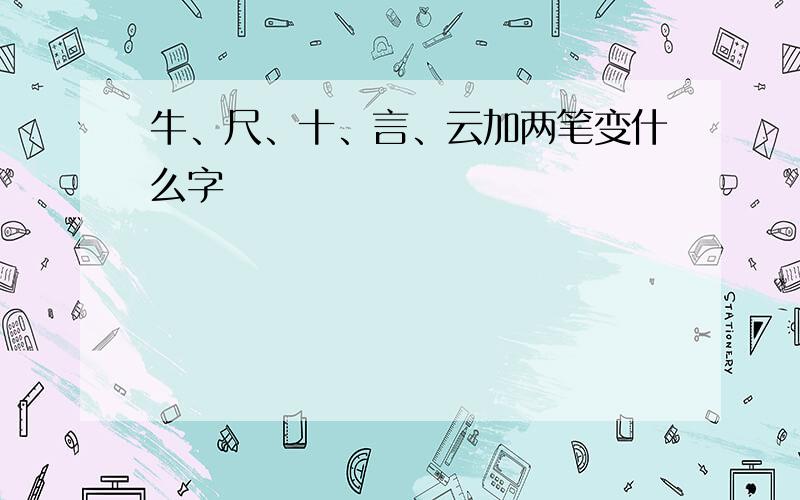 牛、尺、十、言、云加两笔变什么字