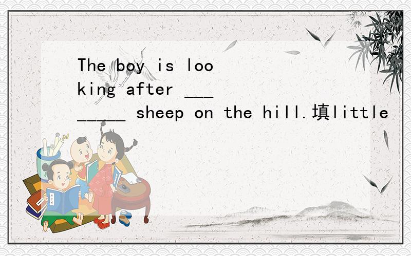 The boy is looking after ________ sheep on the hill.填little