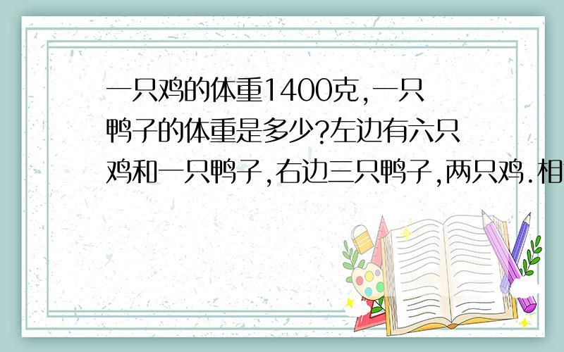 一只鸡的体重1400克,一只鸭子的体重是多少?左边有六只鸡和一只鸭子,右边三只鸭子,两只鸡.相等