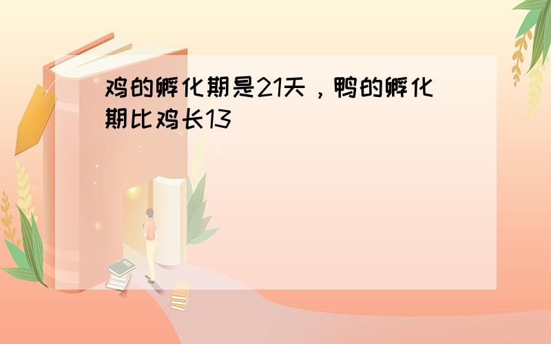 鸡的孵化期是21天，鸭的孵化期比鸡长13