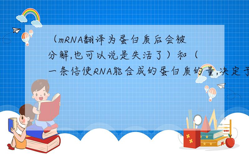 （mRNA翻译为蛋白质后会被分解,也可以说是失活了）和（一条信使RNA能合成的蛋白质的量,决定于其活性保持的时间）,这两