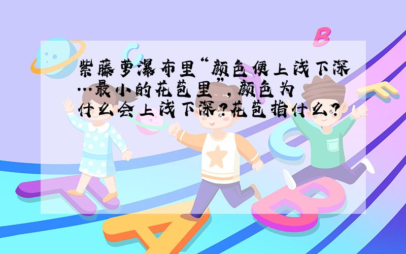 紫藤萝瀑布里“颜色便上浅下深...最小的花苞里”,颜色为什么会上浅下深?花苞指什么?