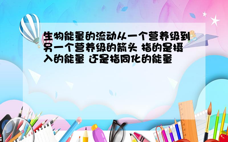 生物能量的流动从一个营养级到另一个营养级的箭头 指的是摄入的能量 还是指同化的能量