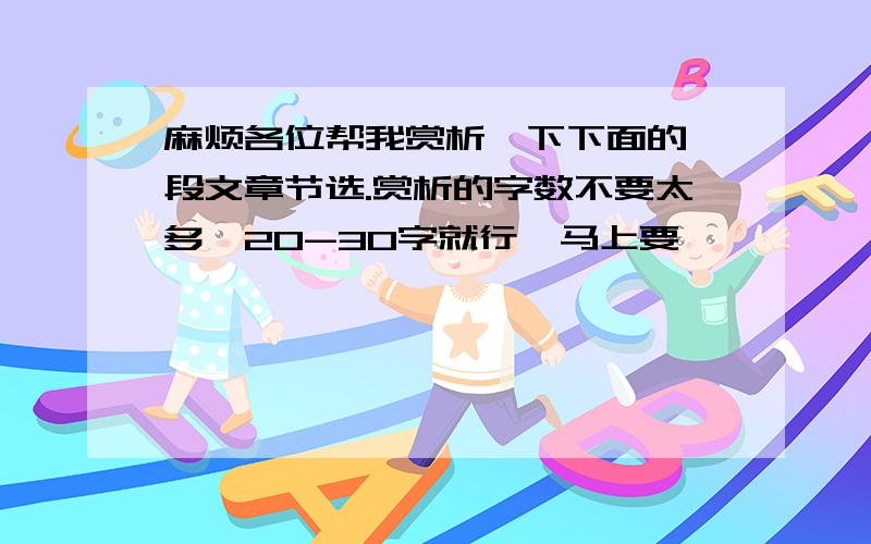 麻烦各位帮我赏析一下下面的一段文章节选.赏析的字数不要太多,20-30字就行,马上要