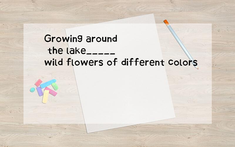 Growing around the lake_____wild flowers of different colors