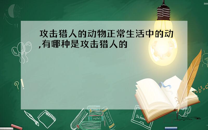 攻击猎人的动物正常生活中的动,有哪种是攻击猎人的