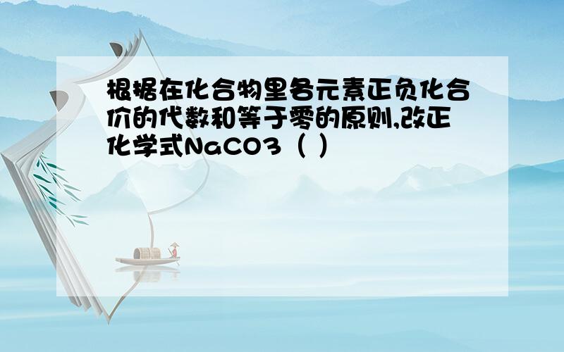 根据在化合物里各元素正负化合价的代数和等于零的原则,改正化学式NaCO3（ ）