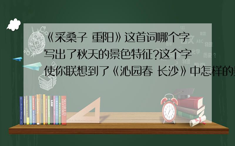 《采桑子 重阳》这首词哪个字写出了秋天的景色特征?这个字使你联想到了《沁园春 长沙》中怎样的景象?