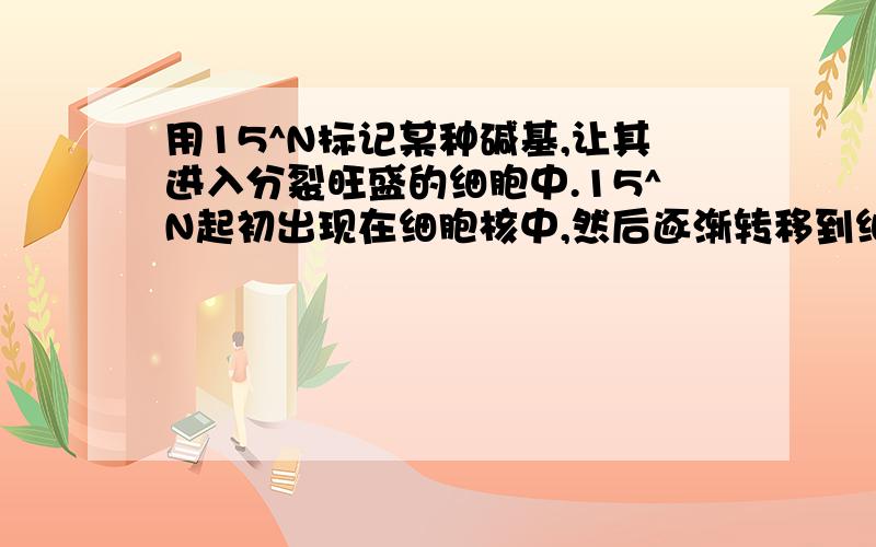 用15^N标记某种碱基,让其进入分裂旺盛的细胞中.15^N起初出现在细胞核中,然后逐渐转移到细胞溶胶和核糖体上.一般来说