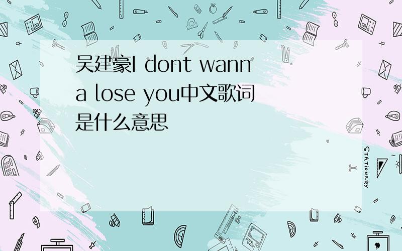 吴建豪I dont wanna lose you中文歌词是什么意思