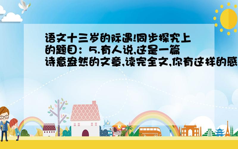 语文十三岁的际遇!同步探究上的题目：5.有人说,这是一篇诗意盎然的文章,读完全文,你有这样的感觉吗?举例说说你的体会.-