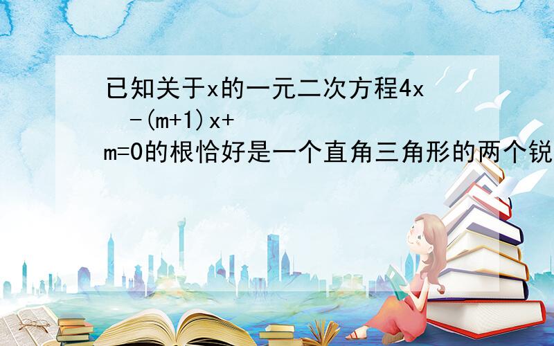 已知关于x的一元二次方程4x²-(m+1)x+m=0的根恰好是一个直角三角形的两个锐角的