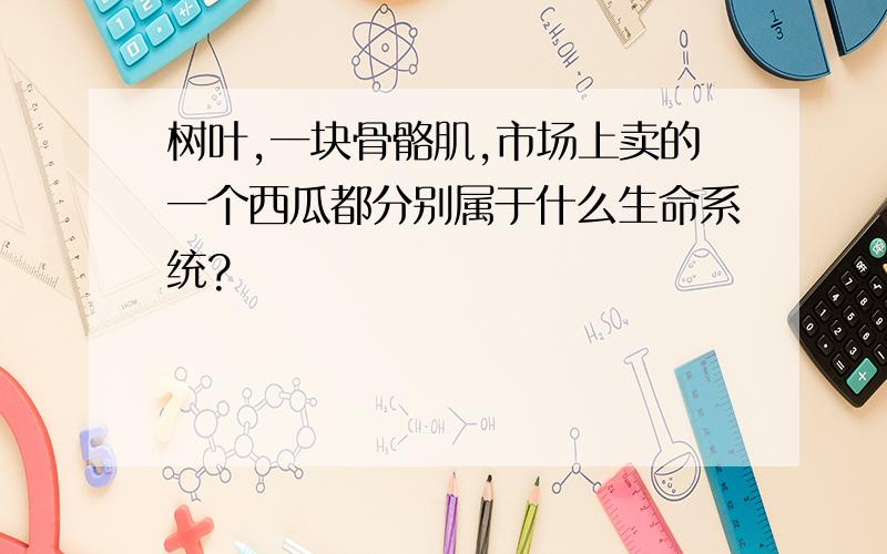 树叶,一块骨骼肌,市场上卖的一个西瓜都分别属于什么生命系统?