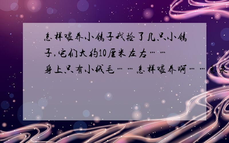 怎样喂养小鸽子我捡了几只小鸽子,它们大约10厘米左右……身上只有小绒毛……怎样喂养啊……急求答案!