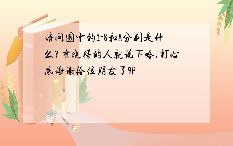 请问图中的1-8和A分别是什么?有晓得的人就说下哈,打心底谢谢给位朋友了9P