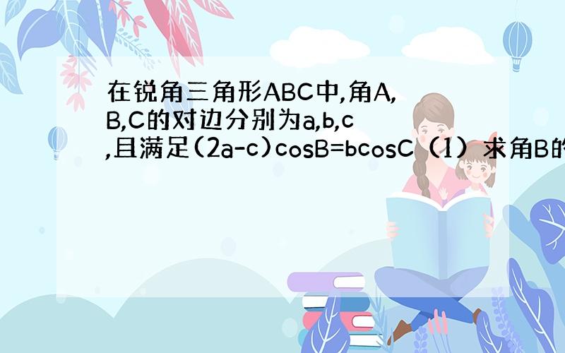 在锐角三角形ABC中,角A,B,C的对边分别为a,b,c,且满足(2a-c)cosB=bcosC（1）求角B的大小（2）