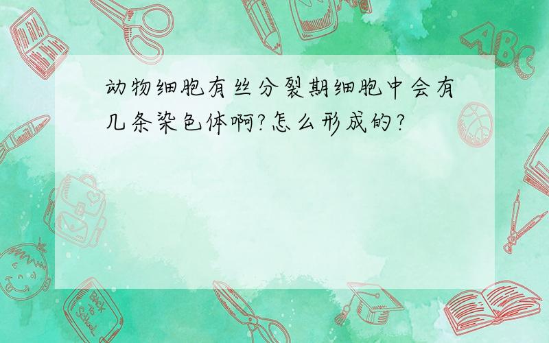 动物细胞有丝分裂期细胞中会有几条染色体啊?怎么形成的?