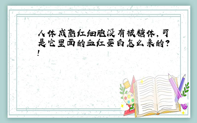 人体成熟红细胞没有核糖体,可是它里面的血红蛋白怎么来的?!