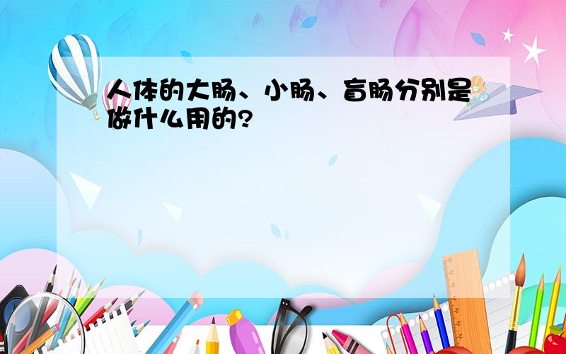 人体的大肠、小肠、盲肠分别是做什么用的?