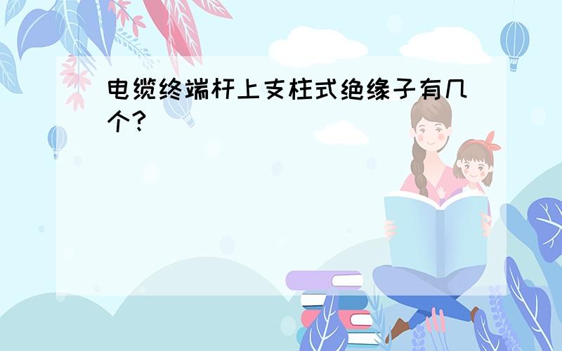 电缆终端杆上支柱式绝缘子有几个?