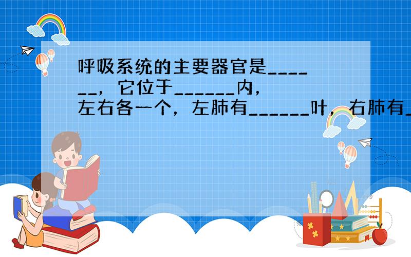 呼吸系统的主要器官是______，它位于______内，左右各一个，左肺有______叶，右肺有______叶．