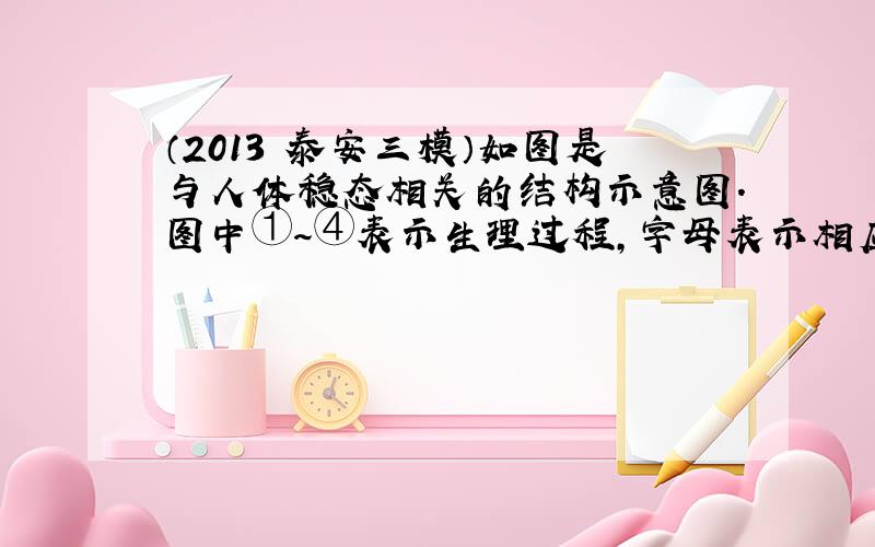 （2013•泰安三模）如图是与人体稳态相关的结构示意图．图中①～④表示生理过程，字母表示相应激素．据图回答以下问题：