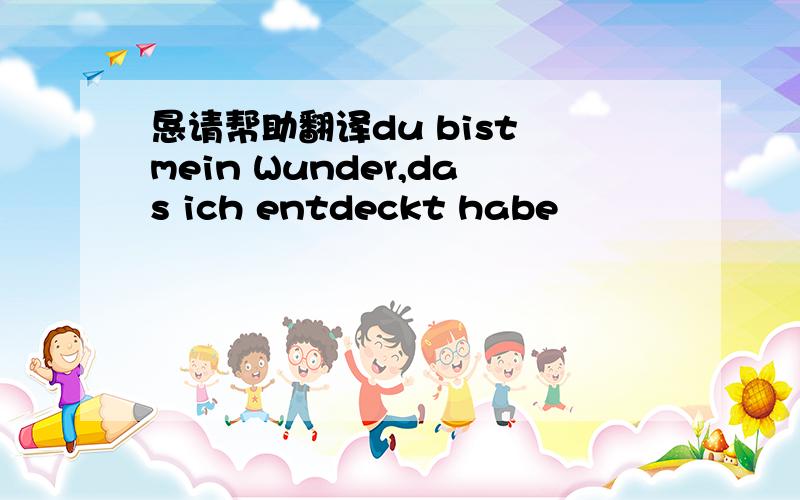 恳请帮助翻译du bist mein Wunder,das ich entdeckt habe