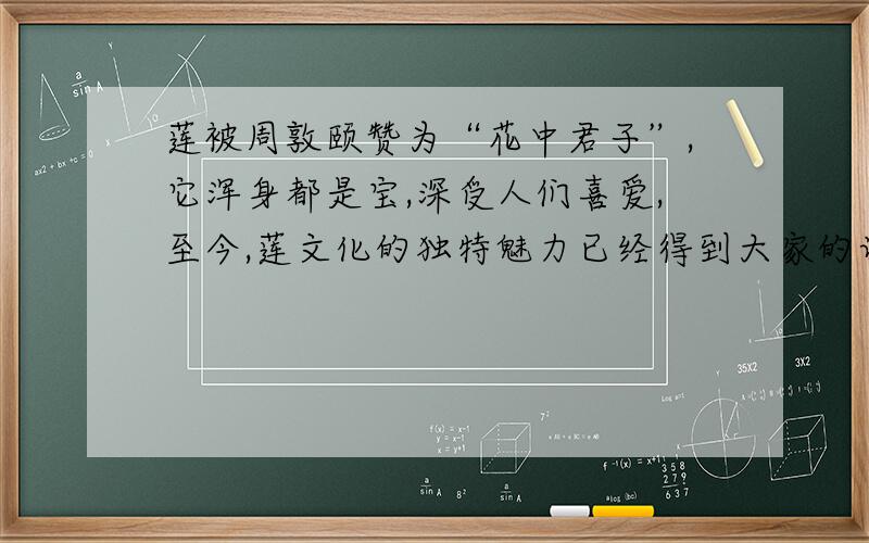 莲被周敦颐赞为“花中君子”,它浑身都是宝,深受人们喜爱,至今,莲文化的独特魅力已经得到大家的认同.