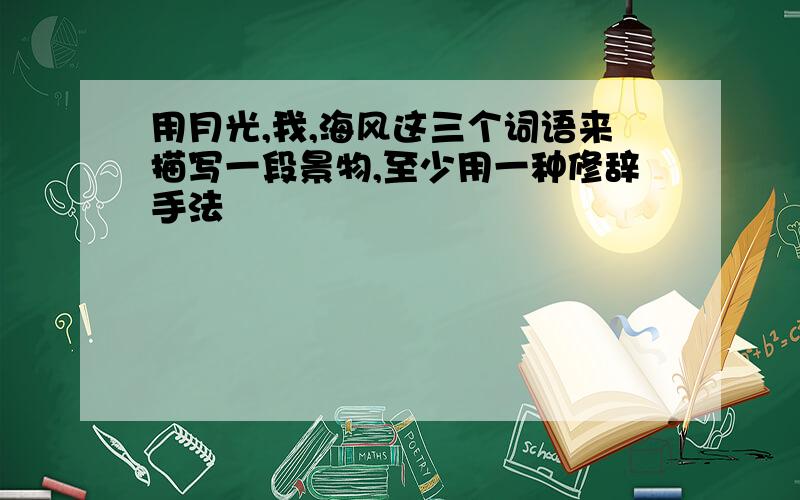 用月光,我,海风这三个词语来描写一段景物,至少用一种修辞手法