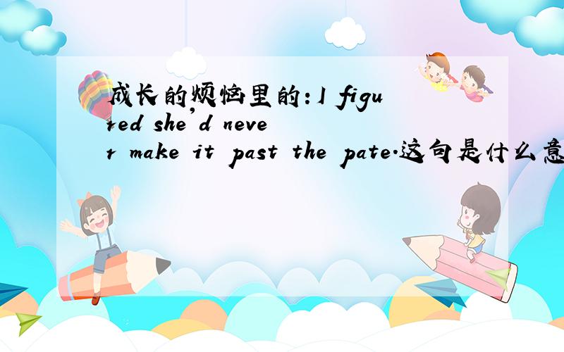 成长的烦恼里的：I figured she'd never make it past the pate.这句是什么意思p