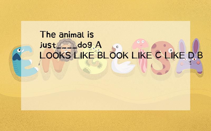 The animal is just____dog A LOOKS LIKE BLOOK LIKE C LIKE D B